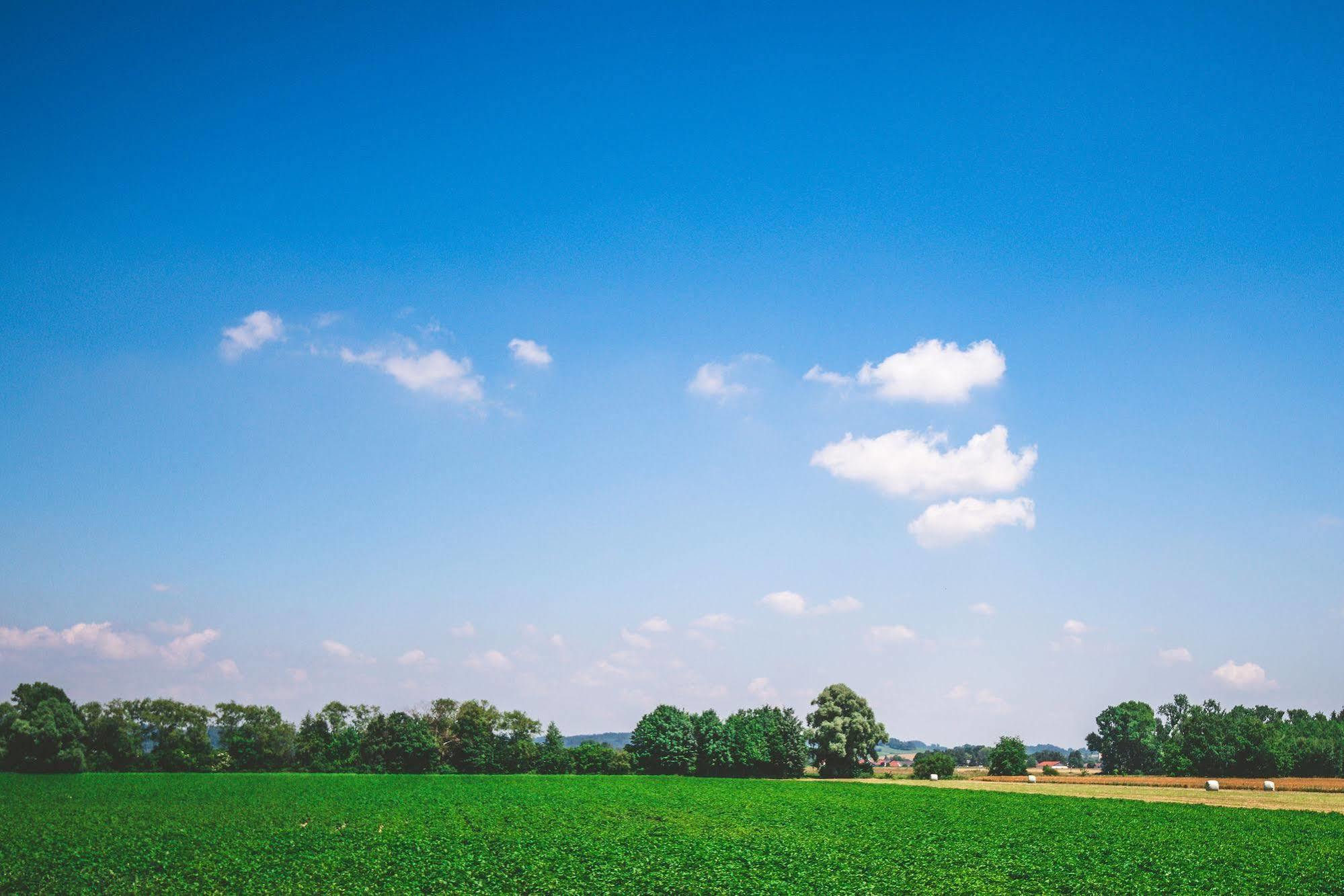Schweiger'S Landgasthof Wartenberg  Exteriör bild